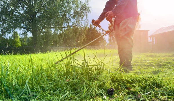 Un professionnel paysagiste effectuant un débroussaillage actif sur un terrain : l'artisan utilise une débroussailleuse ou un équipement similaire pour nettoyer un terrain envahi par de la végétation dense, des ronces ou des arbustes de faible hauteur. Le terrain avant intervention est clairement visible, montrant une zone en friches avec végétation sauvage. La scène se déroule en plein air, en conditions réelles d'intervention, avec l'équipement de travail et le résultat visible du nettoyage en cours.